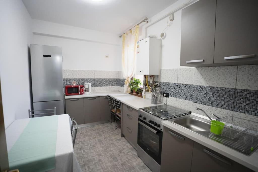 Apartment Alex 2 Iasi